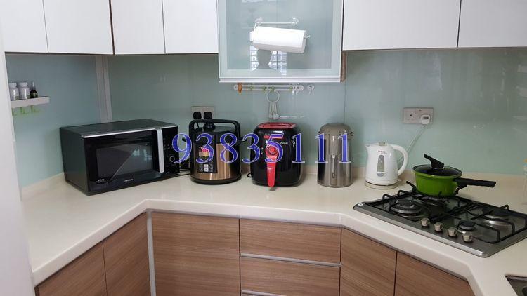 Blk 305B Punggol Road (Punggol), HDB 3 Rooms #170281212